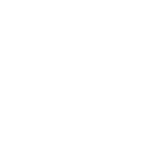 Projection-et-video-blanc